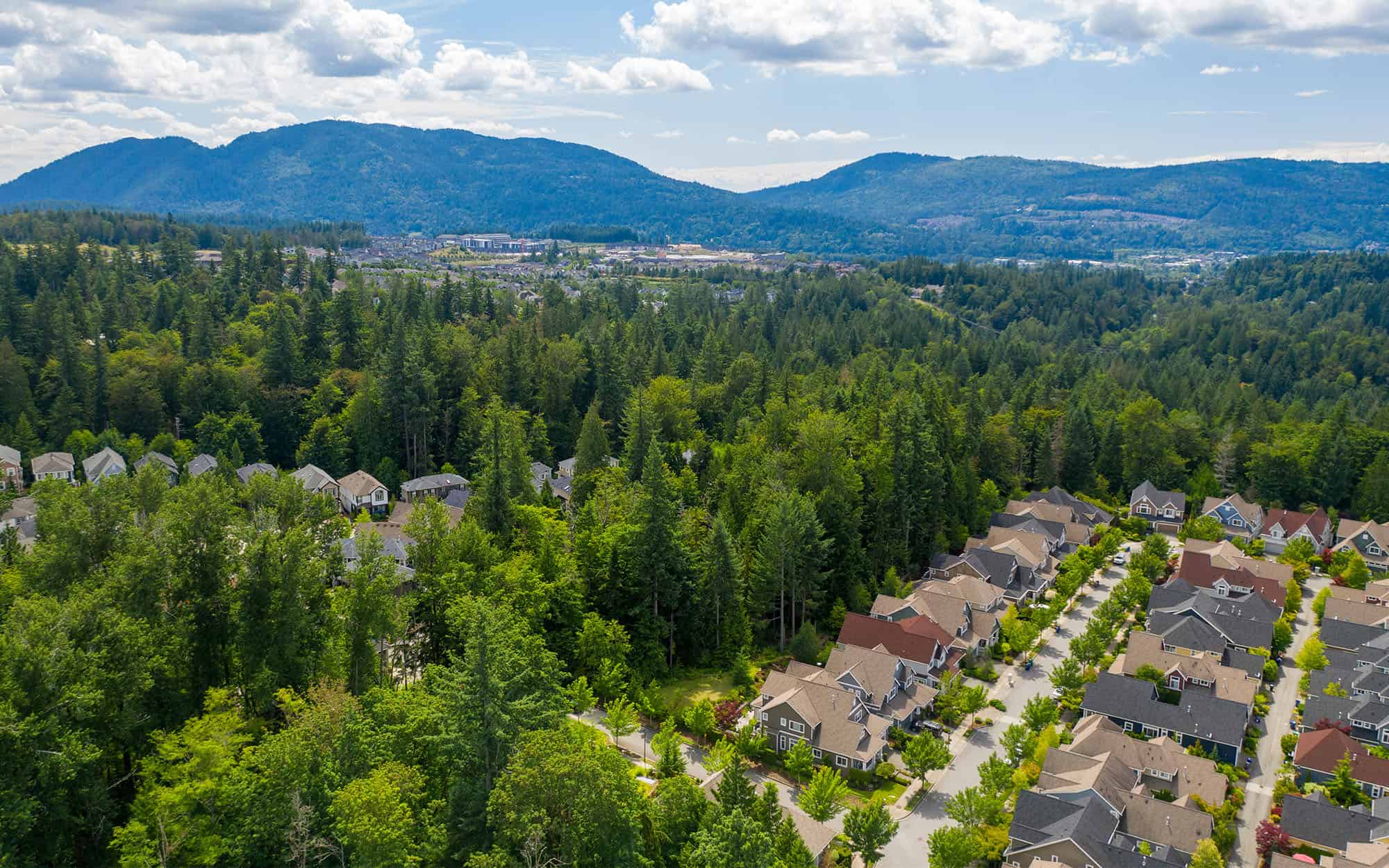 Aerial view of trees and homes in Issaquah WA